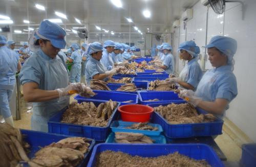 Retos de la acuicultura vietnamita para cumplir su meta de exportación ảnh 1