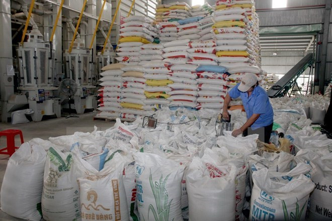 Indonesia comprará arroz de Tailandia y Vietnam ảnh 1 Indonesia comprará arroz de Tailandia y Vietnam ảnh 1