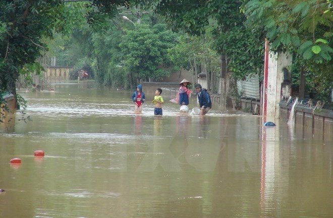 Vietnamitas en el extranjero ayudan a compatriotas afectados por inundaciones ảnh 1