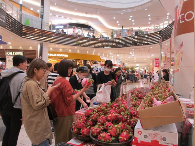 Compañías japonesas desarrollan promoción de artículos domésticos en Vietnam ảnh 1 Compañías japonesas desarrollan promoción de artículos domésticos en Vietnam ảnh 1