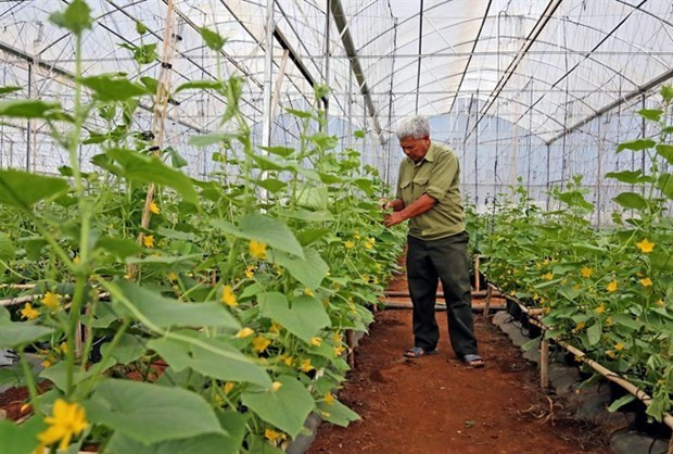 Fortalecen negocios sostenibles en Vietnam para elevar competitividad en mercado mundial ảnh 1 Fortalecen negocios sostenibles en Vietnam para elevar competitividad en mercado mundial ảnh 1