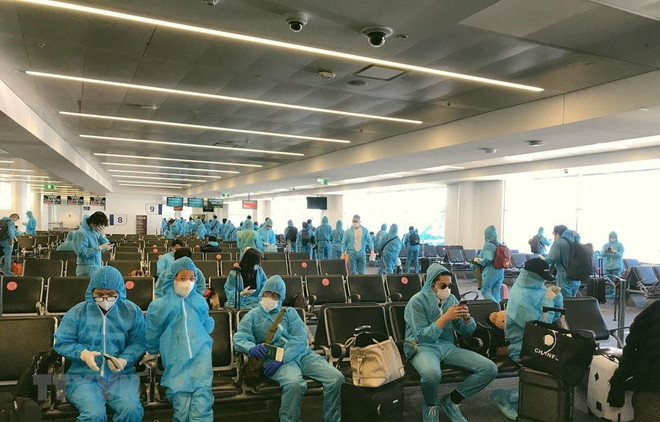 Vietnam trae a sus ciudadanos a casa desde Europa, América del Sur y África ảnh 1