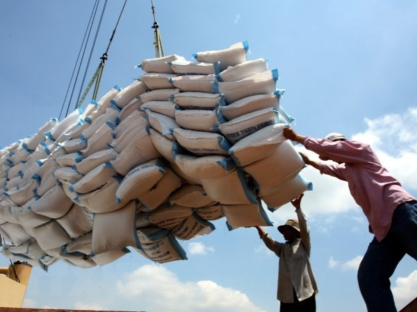 Camboya exporta casi un millón de toneladas de arroz a Vietnam ảnh 1 Camboya exporta casi un millón de toneladas de arroz a Vietnam ảnh 1