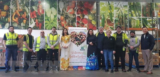 Lichi U Hong de Vietnam presente en el mercado australiano ảnh 1 Lichi U Hong de Vietnam presente en el mercado australiano ảnh 1