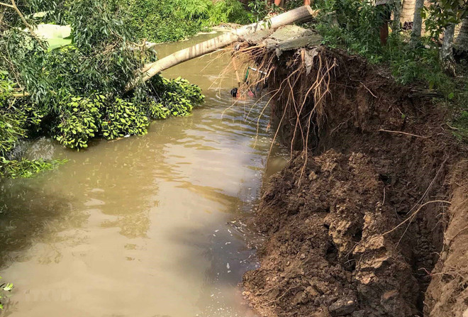 Ciudad vietnamita de Can Tho busca mejorar lucha contra erosión ảnh 1 Ciudad vietnamita de Can Tho busca mejorar lucha contra erosión ảnh 1
