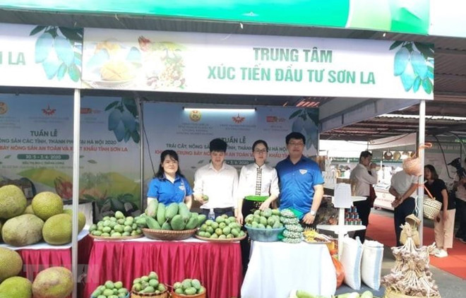 Estimulan en Hanoi consumo doméstico de productos agrícolas y frutales ảnh 1 Estimulan en Hanoi consumo doméstico de productos agrícolas y frutales ảnh 1