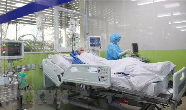 Solo quedan seis casos positivos de coronavirus en Vietnam ảnh 1 Solo quedan seis casos positivos de coronavirus en Vietnam ảnh 1