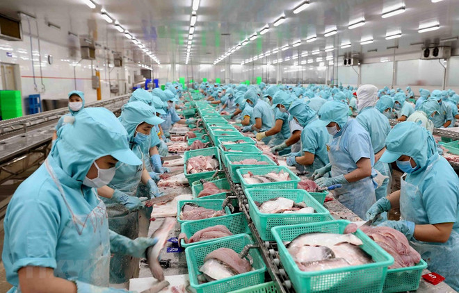 Exportaciones acuáticas de Vietnam disminuyen debido al COVID-19 ảnh 1 Exportaciones acuáticas de Vietnam disminuyen debido al COVID-19 ảnh 1