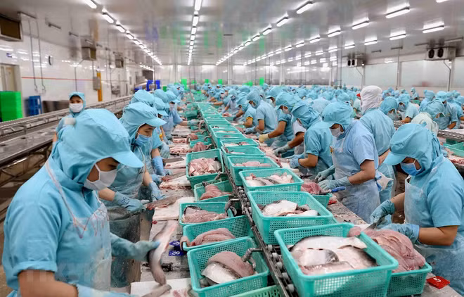 Exportaciones acuáticas de Vietnam disminuyen debido al COVID-19 ảnh 1 Exportaciones acuáticas de Vietnam disminuyen debido al COVID-19 ảnh 1