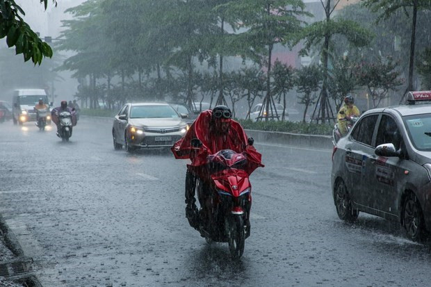 Pronostican intensas lluvias por tifón Nuri en provincias norteñas de Vietnam ảnh 1