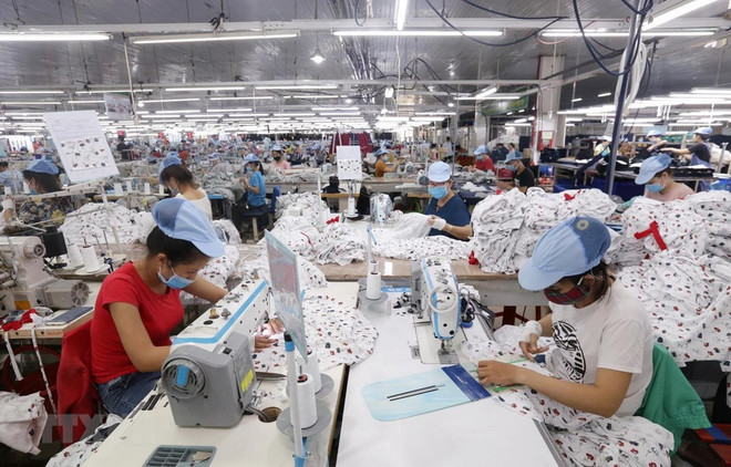 Vietnam impulsa la inversión en confección textil para aprovechar beneficios del EVFTA ảnh 1