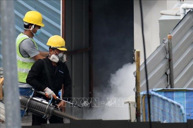 Aumentan repentinamente a más de 10 mil los casos de dengue en Singapur ảnh 1 Aumentan repentinamente a más de 10 mil los casos de dengue en Singapur ảnh 1