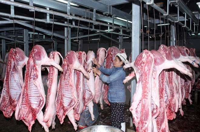 Vietnam, terreno fértil para productos cárnicos europeos ảnh 1 Vietnam, terreno fértil para productos cárnicos europeos ảnh 1
