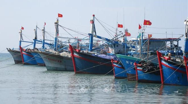Apoyan a empresas vietnamitas en combate contra la pesca ilegal ảnh 1 Apoyan a empresas vietnamitas en combate contra la pesca ilegal ảnh 1