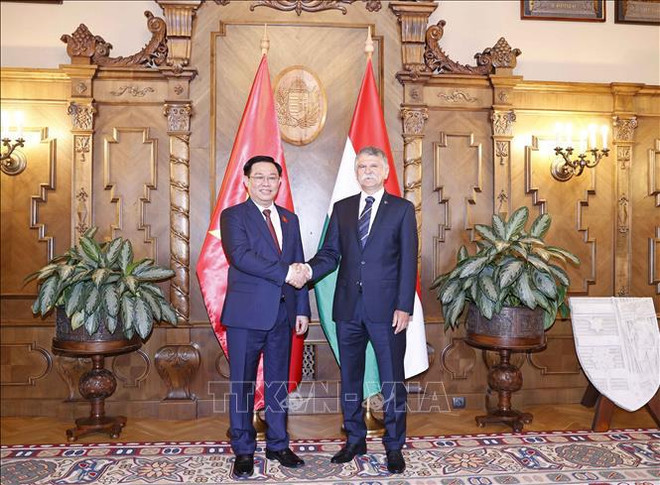 Vietnam, socio importante de Hungría en el Sudeste Asiático ảnh 2 Vietnam, socio importante de Hungría en el Sudeste Asiático ảnh 2
