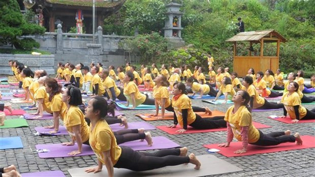 Provincia vietnamita acoge el 8º Día internacional del Yoga ảnh 1