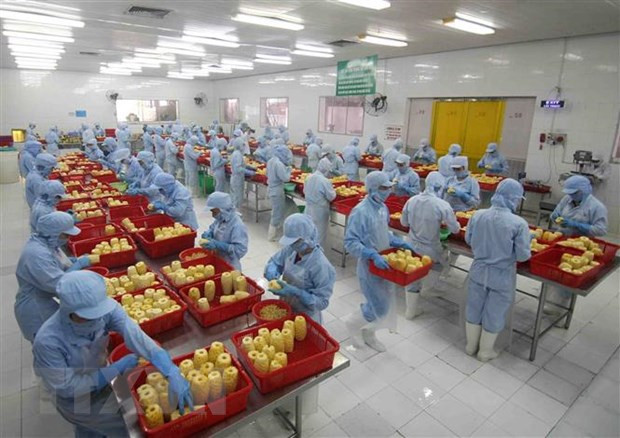Acuerdo EVFTA brinda contribuciones al intercambio comercial Vietnam-Hungría ảnh 1 Acuerdo EVFTA brinda contribuciones al intercambio comercial Vietnam-Hungría ảnh 1