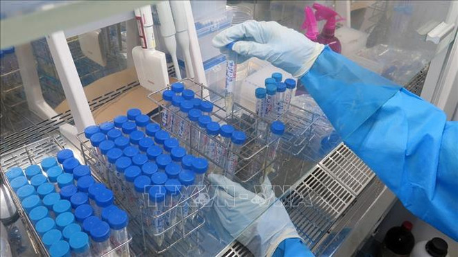 COVID-19: Reduce número de casos diarios en Vietnam ảnh 1 COVID-19: Reduce número de casos diarios en Vietnam ảnh 1