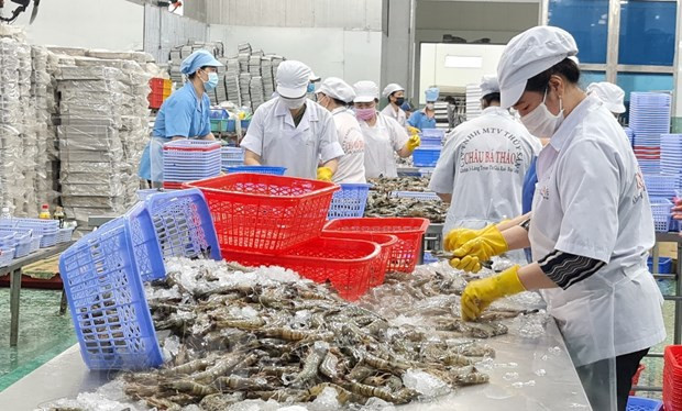 Crecen oportunidades de cooperación acuícola entre localidades vietnamitas e indias ảnh 1 Crecen oportunidades de cooperación acuícola entre localidades vietnamitas e indias ảnh 1