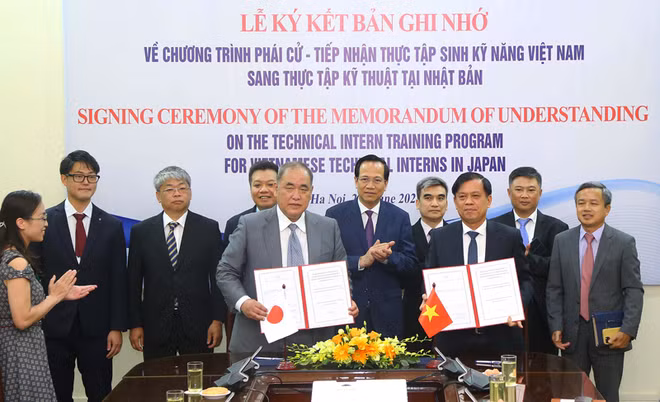 Vietnam y Japón cooperan en sector laboral ảnh 1