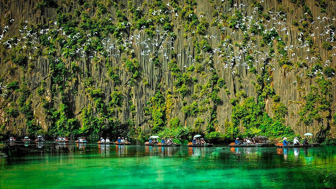 Vietnam trabaja por turismo responsable asociado con conservación de animales salvajes ảnh 1 Vietnam trabaja por turismo responsable asociado con conservación de animales salvajes ảnh 1