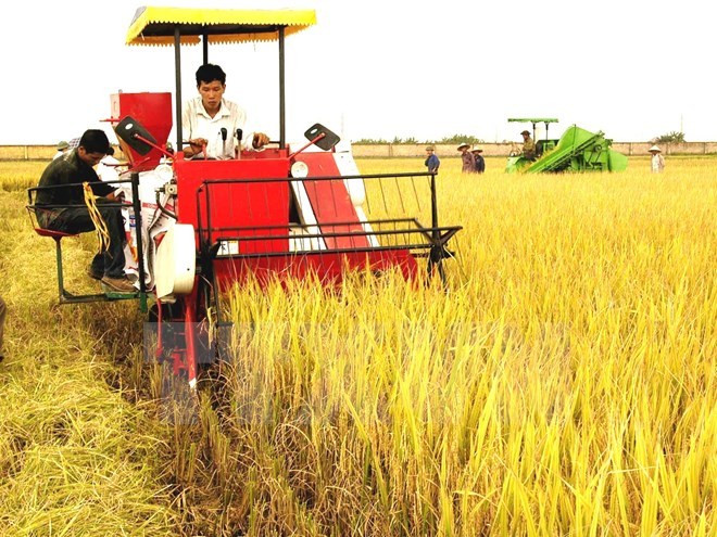 Japón busca oportunidades de inversiones en provincia vietnamita ảnh 1 Japón busca oportunidades de inversiones en provincia vietnamita ảnh 1
