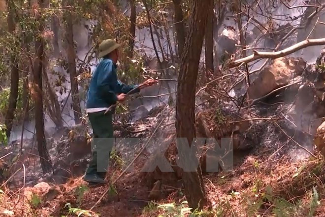 Clima seco eleva alerta de incendios forestales de Vietnam ảnh 1 Clima seco eleva alerta de incendios forestales de Vietnam ảnh 1
