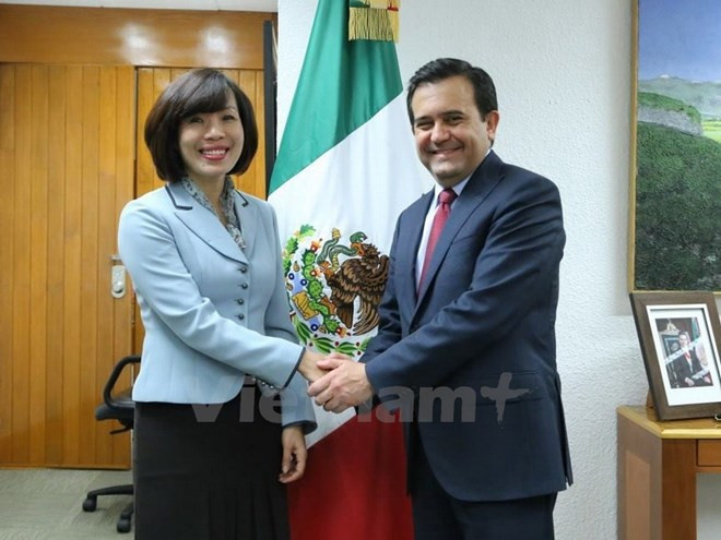 Vietnam y México estrechan colaboración económica ảnh 1 Vietnam y México estrechan colaboración económica ảnh 1