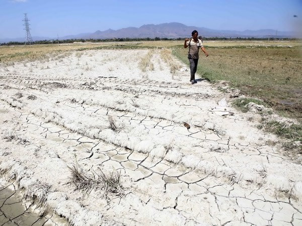Cambio climático: Provincia vietnamita declara la situación de “catastrófica” ảnh 1 Cambio climático: Provincia vietnamita declara la situación de “catastrófica” ảnh 1