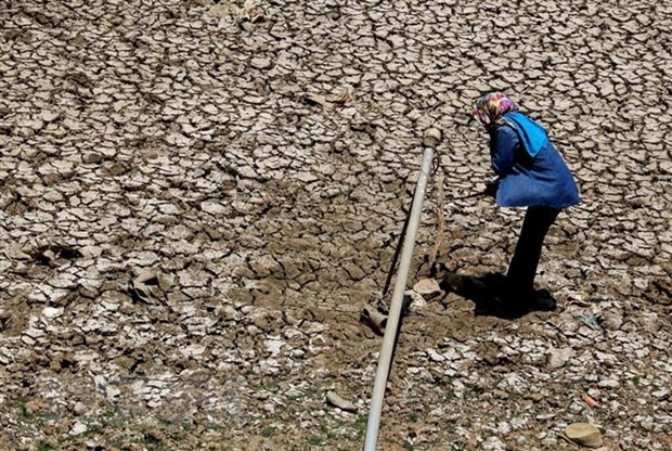 Vietnam enfrenta clima cálido severo ảnh 1 Vietnam enfrenta clima cálido severo ảnh 1