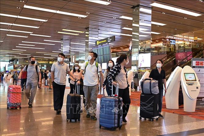 Permitirá Singapur tránsito de pasajeros en aeropuerto de Changi ảnh 1