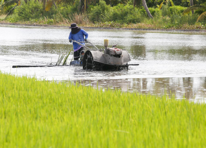 Tailandia determina tres motores clave para la recuperación económica ảnh 1 Tailandia determina tres motores clave para la recuperación económica ảnh 1