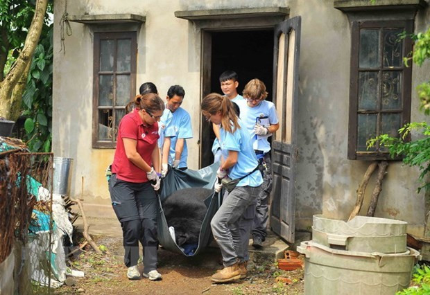 Impulsan en Vietnam lucha contra comercio ilegal de animales silvestres por internet ảnh 1 Impulsan en Vietnam lucha contra comercio ilegal de animales silvestres por internet ảnh 1