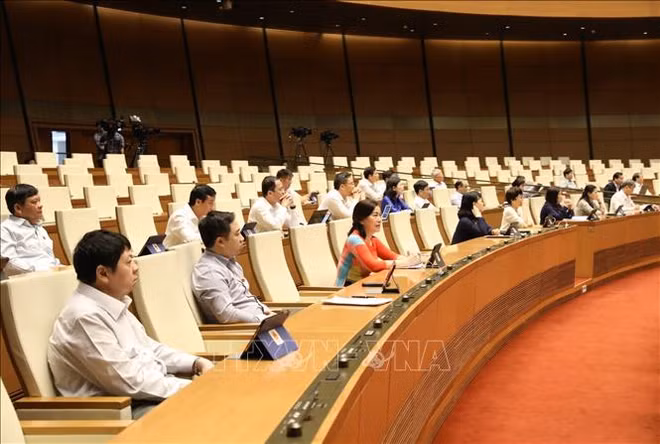 Diputados vietnamitas proponen reforzar la protección infantil ảnh 1