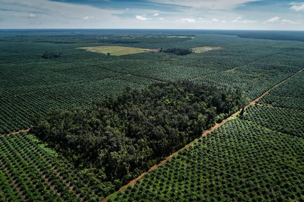 Construirá Tailandia planta desaladora para servir a la producción industrial ảnh 1