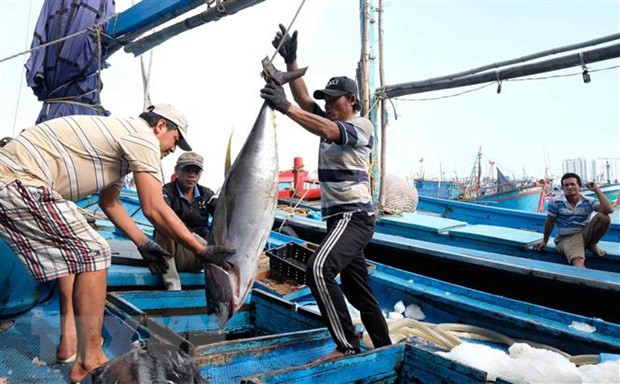 Registran tendencia alcista exportaciones de atún enlatado de Vietnam ảnh 1 Registran tendencia alcista exportaciones de atún enlatado de Vietnam ảnh 1