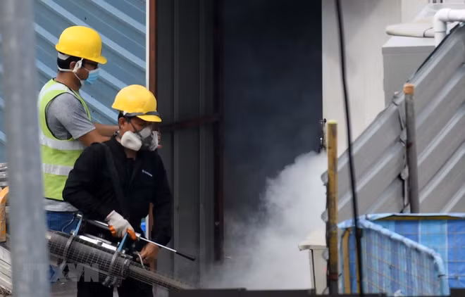 Provincia de Tailandia enfrenta brote de dengue ảnh 1