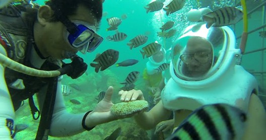 Inician tour de caminata submarina en Quang Nam ảnh 1 Inician tour de caminata submarina en Quang Nam ảnh 1