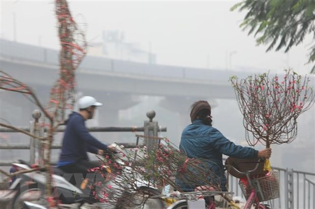 Debaten en Hanoi medidas para mejorar calidad de aire ảnh 1 Debaten en Hanoi medidas para mejorar calidad de aire ảnh 1