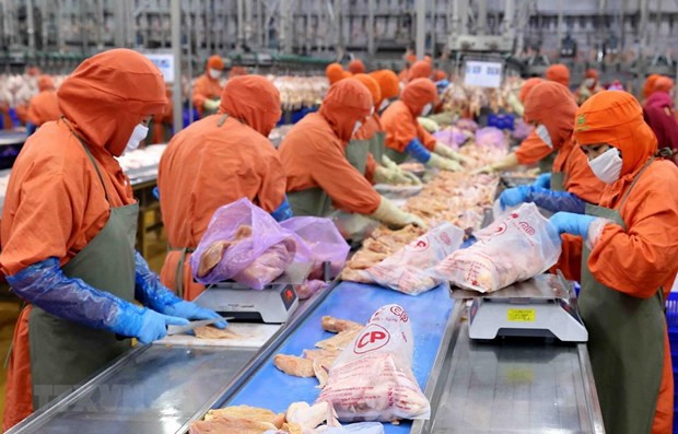 Promueven Vietnam y Japón inversiones para desarrollar cadenas alimentarias ảnh 1