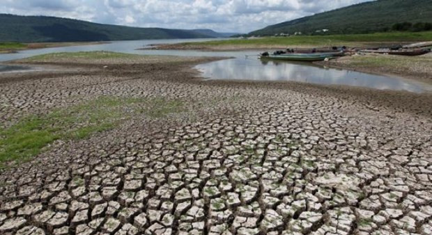 Severa sequía en 2020 provocará aumento de precios de productos agrícolas de Tailadia ảnh 1 Severa sequía en 2020 provocará aumento de precios de productos agrícolas de Tailadia ảnh 1