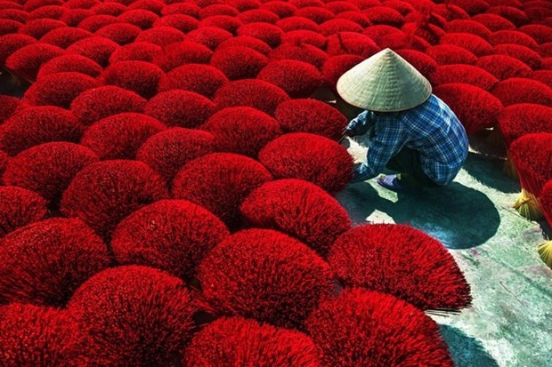 Ganan vietnamitas premios en concurso internacional de fotografía de India ảnh 1