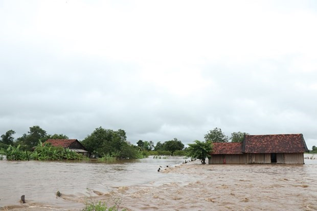 Fortalecen empoderamiento de mujeres vietnamitas en respuesta al cambio climático ảnh 2 Fortalecen empoderamiento de mujeres vietnamitas en respuesta al cambio climático ảnh 2