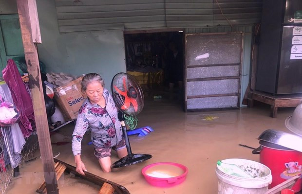 Fortalecen empoderamiento de mujeres vietnamitas en respuesta al cambio climático ảnh 1 Fortalecen empoderamiento de mujeres vietnamitas en respuesta al cambio climático ảnh 1