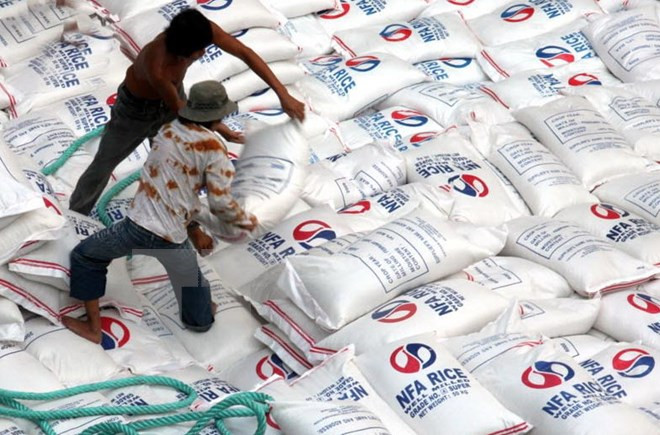 Podría Filipinas fracasar en meta de producción arrocera ảnh 1