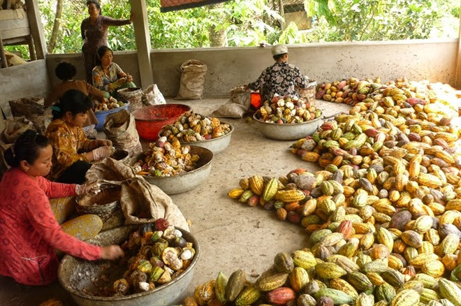  Indonesia y Singapur incrementan cooperación agrícola ảnh 1