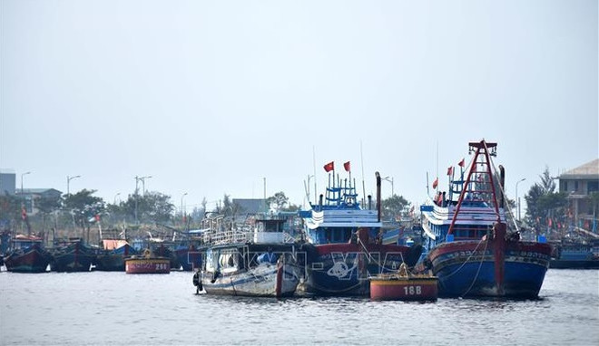 Localidades vietnamitas fortalecen vigilancia contra actividades de pesca ilegal ảnh 1 Localidades vietnamitas fortalecen vigilancia contra actividades de pesca ilegal ảnh 1