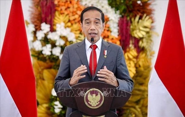 Indonesia enfatiza importancia de cooperación entre gobierno y empresas ảnh 1 Indonesia enfatiza importancia de cooperación entre gobierno y empresas ảnh 1