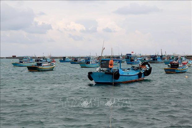 Provincia centrovietnamita de Binh Thuan se moviliza para poner fin a la pesca ilegal ảnh 1 Provincia centrovietnamita de Binh Thuan se moviliza para poner fin a la pesca ilegal ảnh 1
