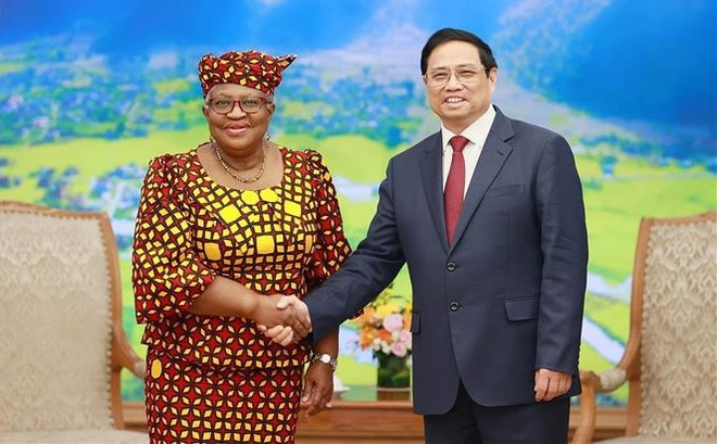 Premier vietnamita recibe a directora general de OMC ảnh 1